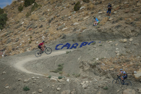 BF0T5213.jpg