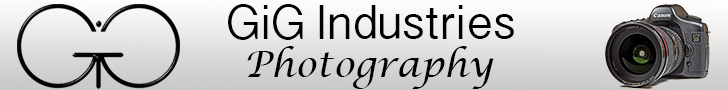 Gig_photo4_banner.png