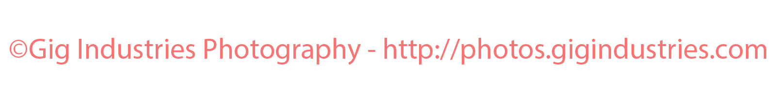 gig_watermark.png