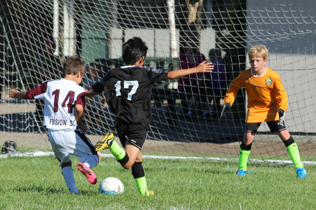 IMG_5378.jpg
