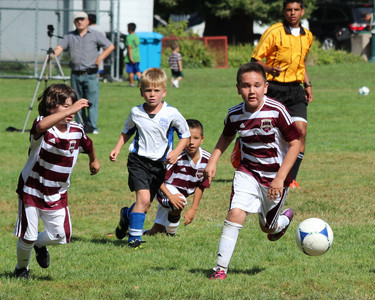 IMG_2195.jpg