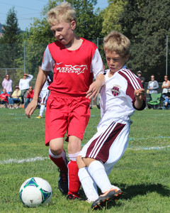IMG_6073.jpg