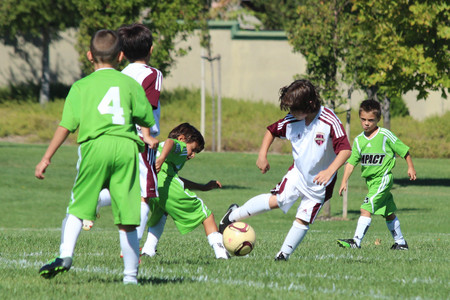 IMG_6743.jpg