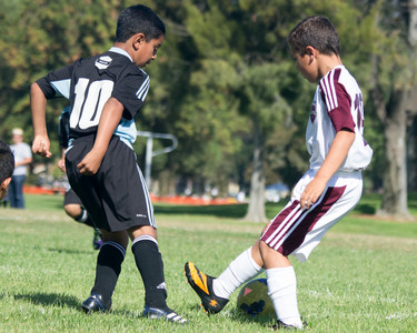 IMG_4564-Edit.jpg