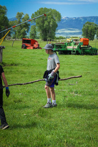 IMG_2597.jpg