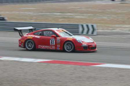 IMG_6596.jpg