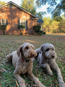 5B09A008-3D4F-4BD3-B6B1-171A766DB16A.jpeg