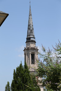 BF0T5639.jpg