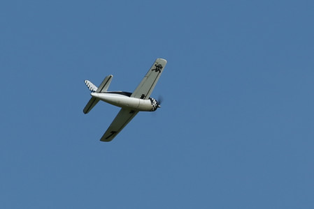 BF0T9635.jpg