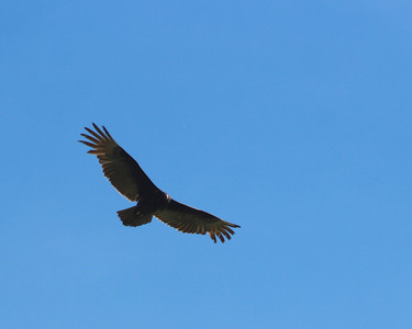 IMG_3805.jpg