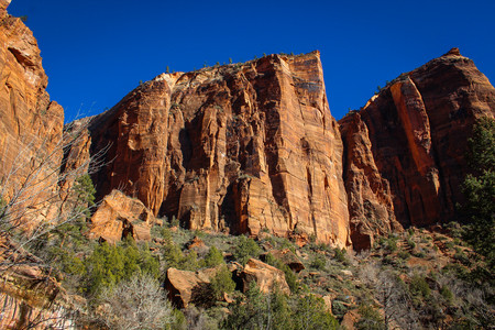 IMG_7663.jpg