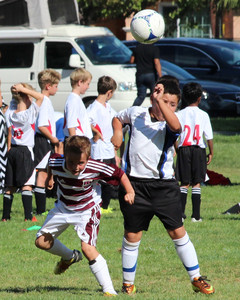 IMG_2681.jpg