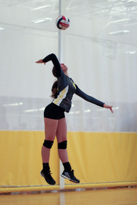IMG_9267.jpg