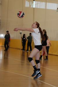 IMG_9861.jpg