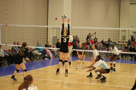 IMG_1212.jpg