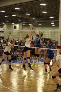 IMG_1676.jpg