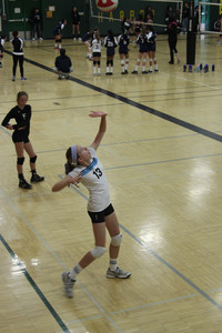 IMG_4538.jpg