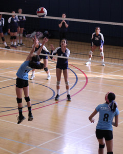 IMG_1066.jpg