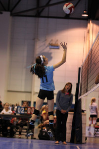 IMG_3617.jpg