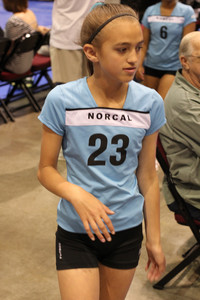 IMG_3646.jpg