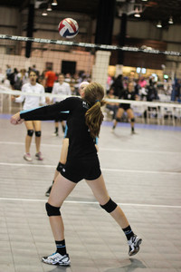 IMG_7860.jpg
