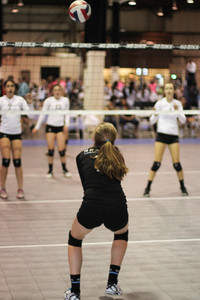 IMG_7971.jpg