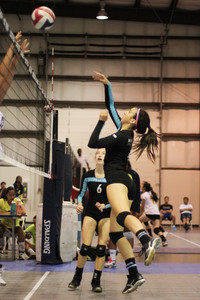 IMG_8198.jpg