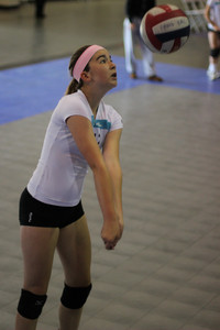 IMG_8254.jpg