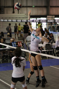 IMG_8380.jpg