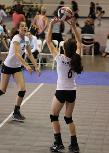 IMG_8454.jpg