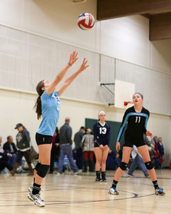 IMG_8864.jpg
