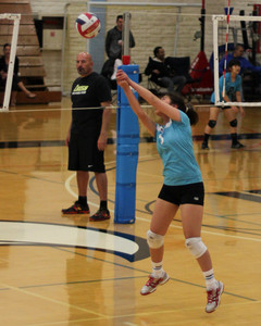 IMG_2987.jpg