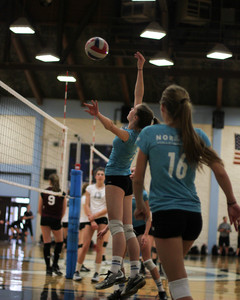 IMG_3496.jpg