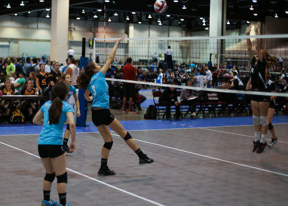 IMG_7865.jpg