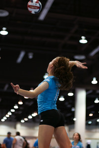 IMG_7987.jpg