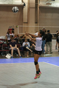 IMG_8482.jpg