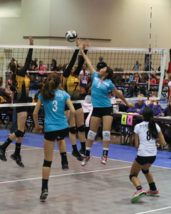 IMG_8807.jpg