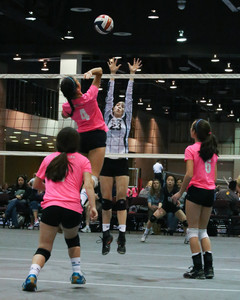 IMG_9756.jpg