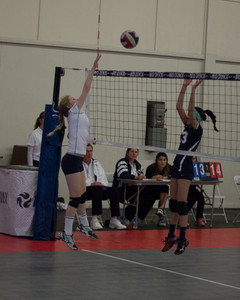 IMG_5383.jpg