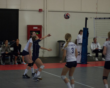 IMG_5421.jpg