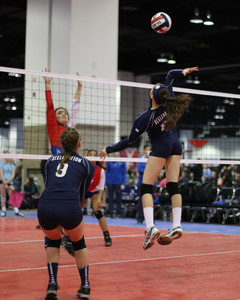 IMG_8590.jpg