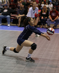 IMG_8737.jpg