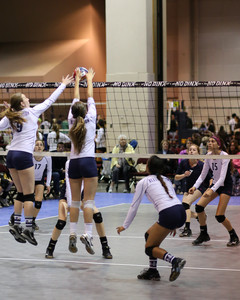 IMG_8842.jpg