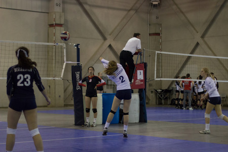 IMG_6575.jpg