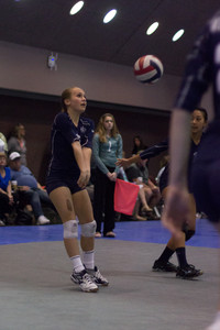 IMG_7635.jpg