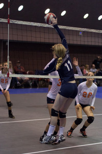 IMG_7750.jpg