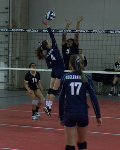 IMG_6275.jpg